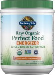 Energizer Raw Perfect Food Juiced Green Superfood Garden of Life 276g